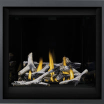 ALTITUDEᴹᴰ X 36 Foyer au gaz à évacuation directe | AX36NTE-1