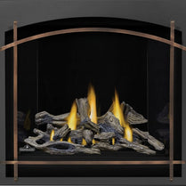ALTITUDEᴹᴰ X 36 Foyer au gaz à évacuation directe | AX36NTE-1