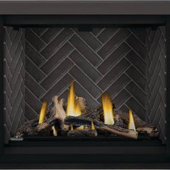 ALTITUDEᴹᴰ X 42 Direct-vent gas fireplace | AX42NTE-1