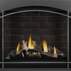 ALTITUDEᴹᴰ X 42 Direct-vent gas fireplace | AX42NTE-1