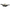 Q 2000