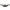 Q 2000