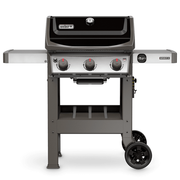 SPIRIT II E-310