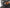 69211_rotiss_chicken